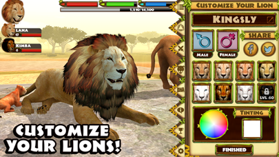 Ultimate Lion Simulator screenshot 5