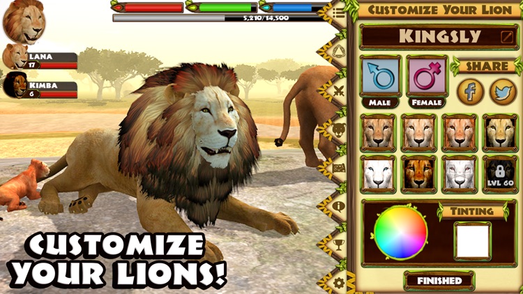 Ultimate Lion Simulator screenshot-4