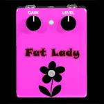 Fat Lady - Guitar Distortion App Negative Reviews