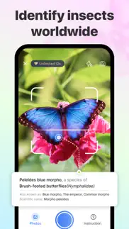 How to cancel & delete picture insect: spiders & bugs 3