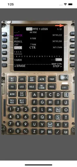 Game screenshot B777 Flight Deck hack