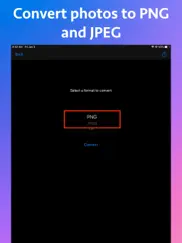 photo type converter ipad images 3