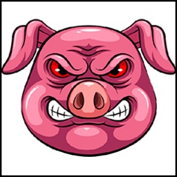 Angry Pig History