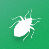 Insecta - Study Insects in AR - WORLD OF DINOSAURS