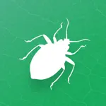Insecta - Study Insects in AR App Contact