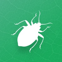Insecta app not working? crashes or has problems?