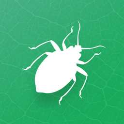 Ícone do app Insecta - Study Insects in AR