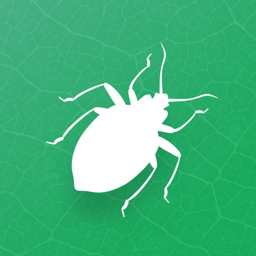 Insecta - Study Insects in AR icon