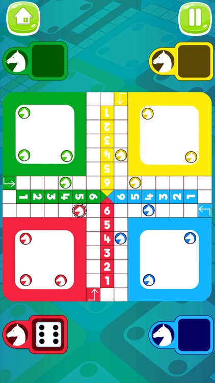 Petits chevaux : small horses