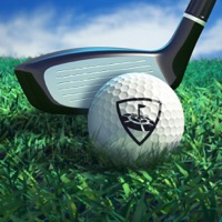 WGT Golf messages.notwork