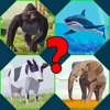 Guess the Animal Quiz Game