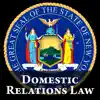 NY Domestic Relations Law 2024 problems & troubleshooting and solutions