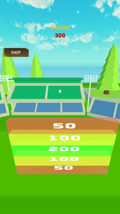 PM Cricket Sports Screenshot