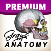 Luke Allen - Grays Anatomy Premium Edition アートワーク