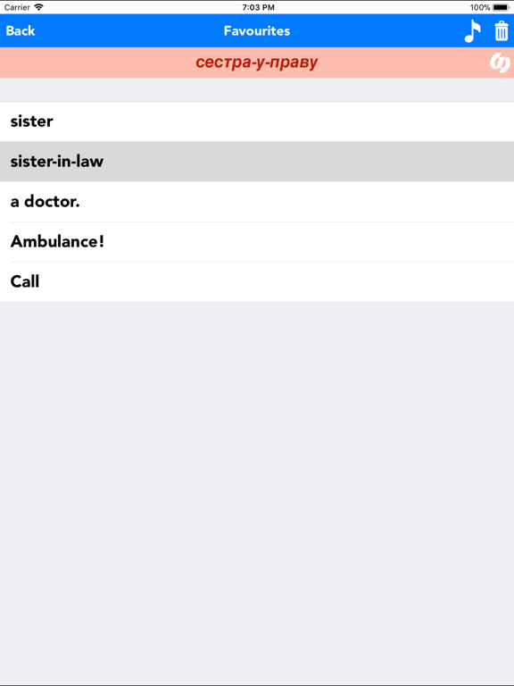 English to Serbian Translator iPad screenshot