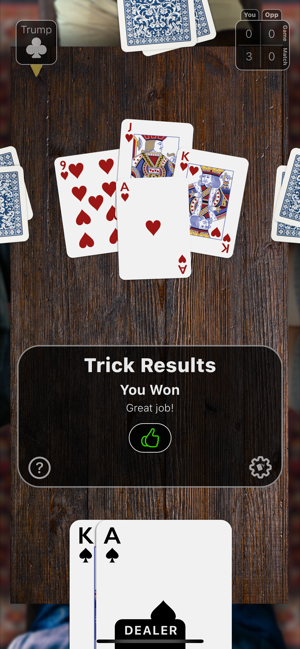 ‎Euchre Night Screenshot