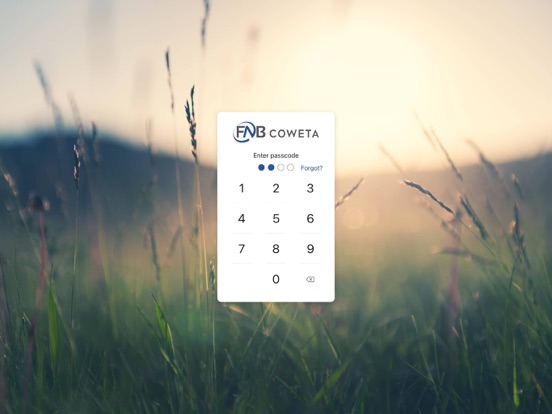 FNB Coweta iPad screenshot 2 - Finance app