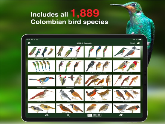 All Birds Colombia field guide iPad app afbeelding 3