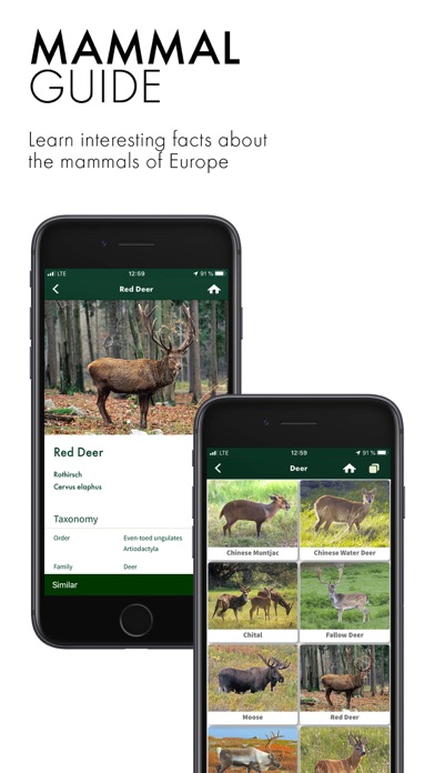 SWAROVSKI OPTIK Wildlife ID Screenshot