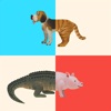 Doko - Animals - iPadアプリ