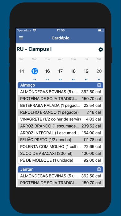 UFSM Digital Screenshot