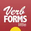 Spanish Verbs & Conjugation App Feedback