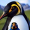 Icon Penguin Simulator Sea Game 3d