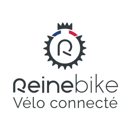 Reine Bike Читы