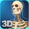 My Skeleton Anatomy icon