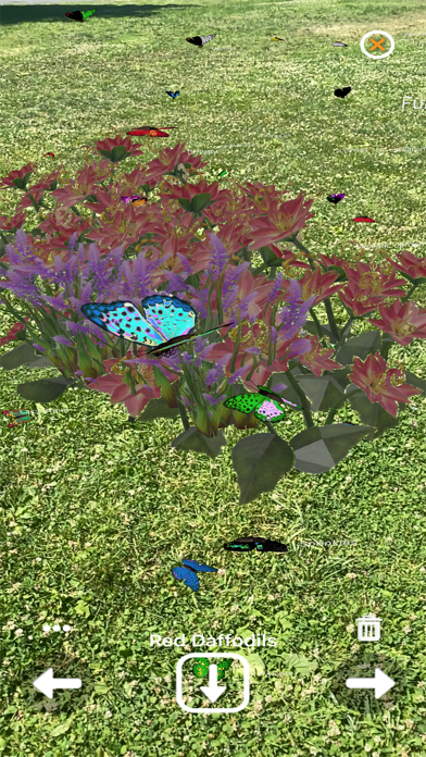 1001 Butterflies Screenshot