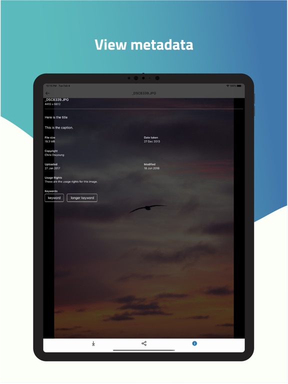 FileFlow iPad screenshot 6 - Photo & Video app