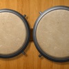 Bongos - Dynamic Bongo Drums - iPadアプリ