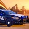 Police Sim 2021  - Cop & Drive icon