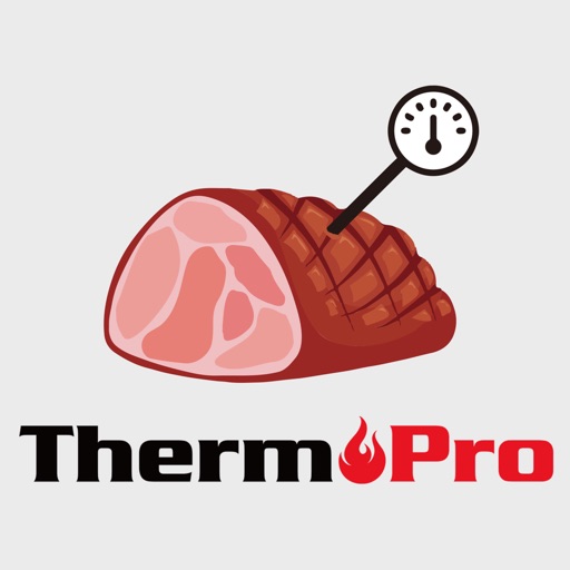 ThermoPro BBQ