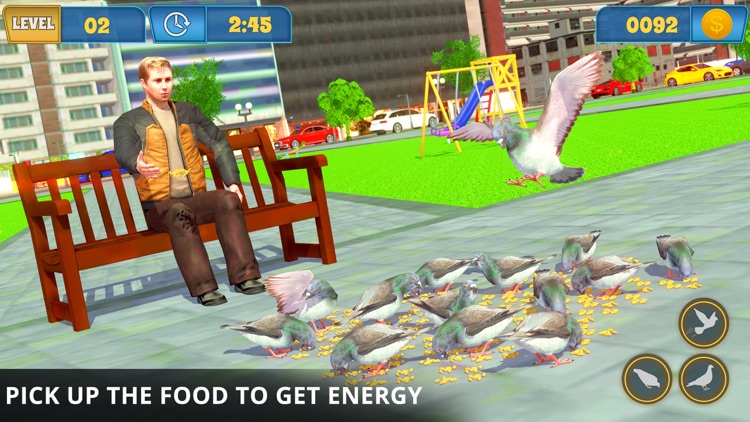 Pigeon Bird Simulator