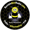 BumbleBee Radio icon