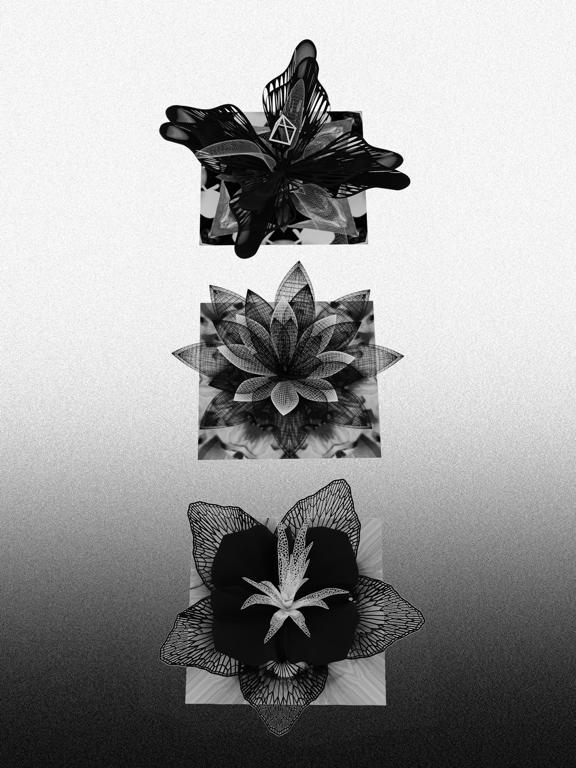 Screenshot #5 pour Fou Flowers