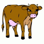 Download Catch The Cow app