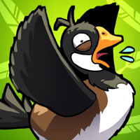 Tap Tap Goose Flap and Fly