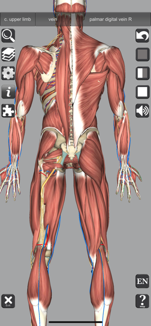 ‎3D Anatomy Screenshot