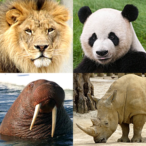 Animals Quiz - Mammals in Zoo icon