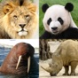 Animals Quiz - Mammals in Zoo app download