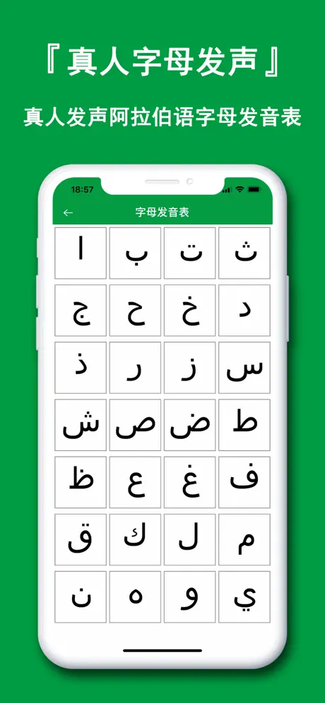 阿拉伯语翻译官 - Arabic Translator