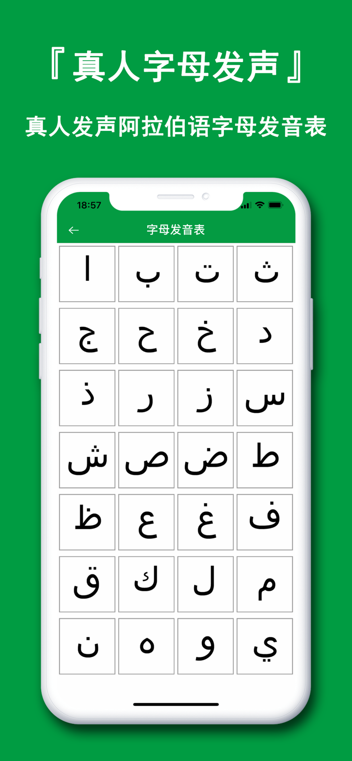 阿拉伯语翻译官 - Arabic Translator screenshot 6