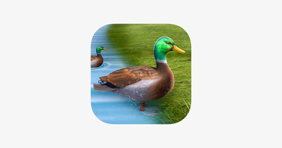 Anyone know a fix for this bug on Duck Life Space on mobile(iPhone)? : r/ DuckLife