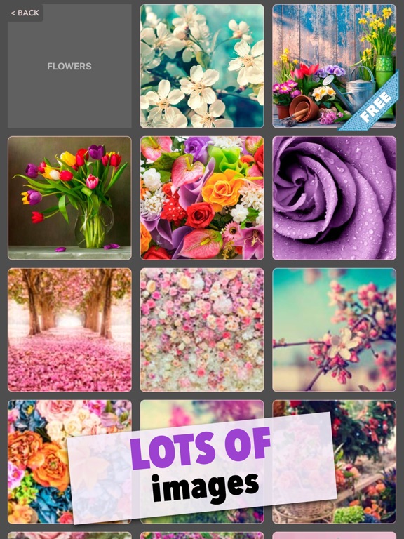 Screenshot #6 pour jigsaw puzzles world hd