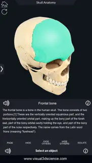 my skull anatomy iphone resimleri 3