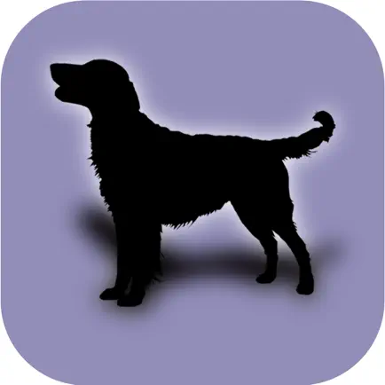 Dog's Family Cheats