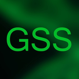 Guided Statistics
