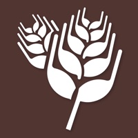 Papparoti US logo